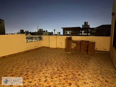 فلیٹ 3 غرف نوم للايجار في القاهرة الجديدة، القاهرة - WhatsApp Image 2026-01-20 at 11.17. 20 AM. jpeg