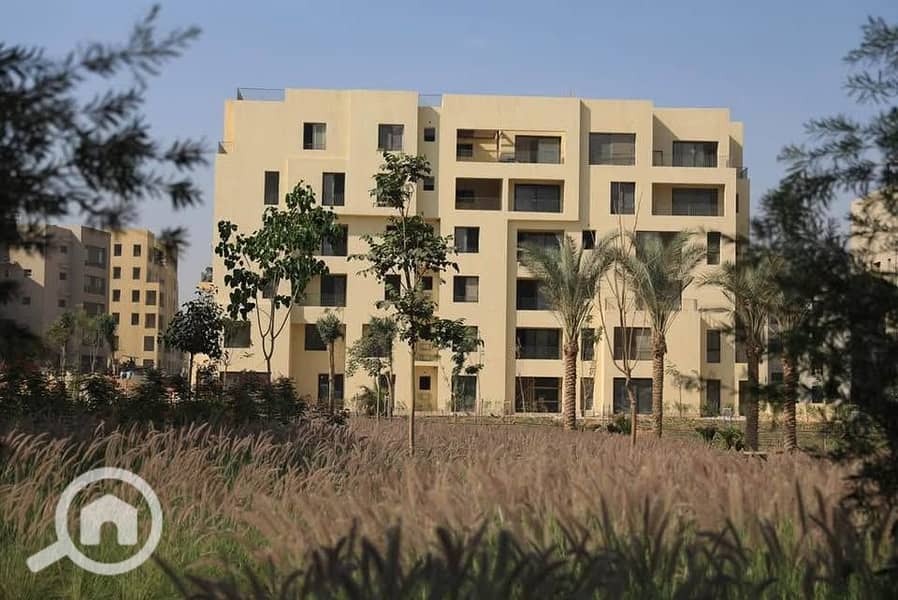 11 539658253_1114010240670785_4162968533831715315_n. jpg