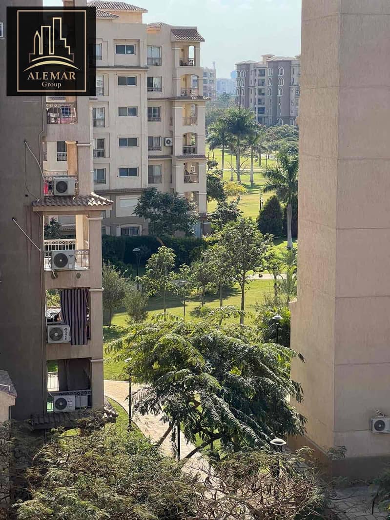 4 55cecd61-66a3-4127-9041-22ebf01efeef. jpg