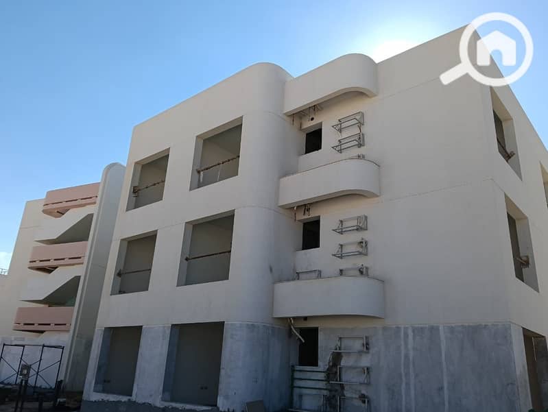 3 33bba926-6e04-4487-934f-5d0cf533bd08. jpg