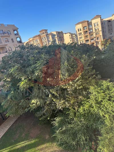 3 Bedroom Apartment for Sale in Madinaty, Cairo - WhatsApp Image 2026-01-20 at 11.23. 03. jpeg 3 Bedroom Apartment for Sale in Madinaty, Cairo - WhatsApp Image 2026-01-20 at 11.23. 03. jpeg