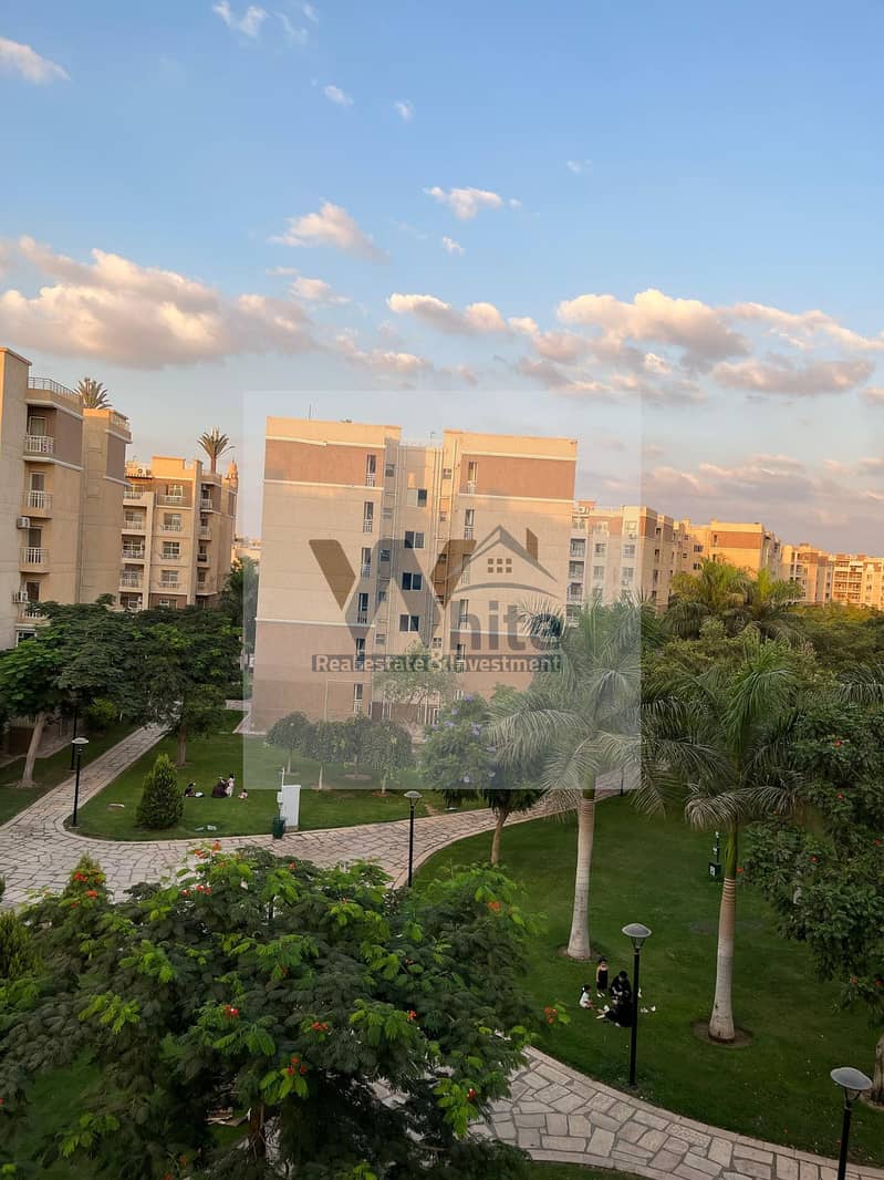 2 910fd9f9-a4a1-455e-a382-c2be664db512. jpeg