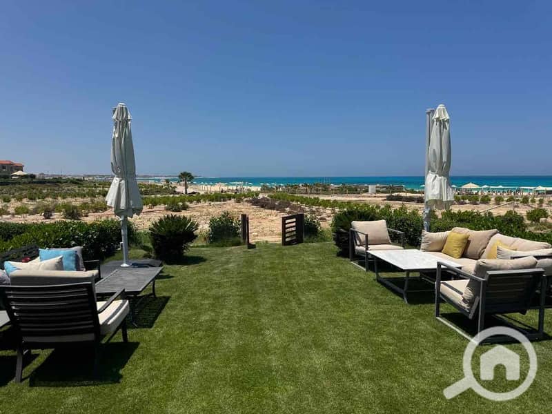 17 032d4276-d831-4819-a554-248715c074b2. jpg