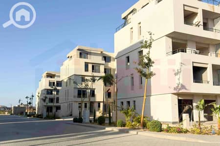 فیلا 5 غرف نوم للبيع في العامرية، الإسكندرية - WhatsApp Image 2026-01-17 at 2.14. 32 PM (1). jpg