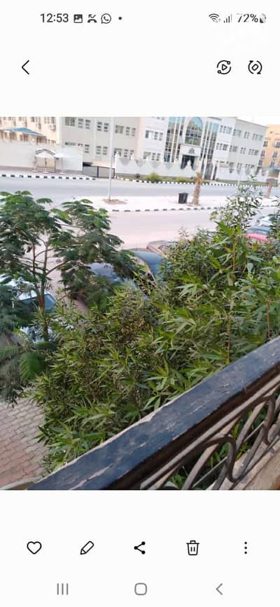 3 Bedroom Apartment for Rent in Sheikh Zayed, Giza - 1000252775. jpg