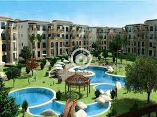 10 908c661a-784e-11ef-b4da-dac444b7180f. jpeg