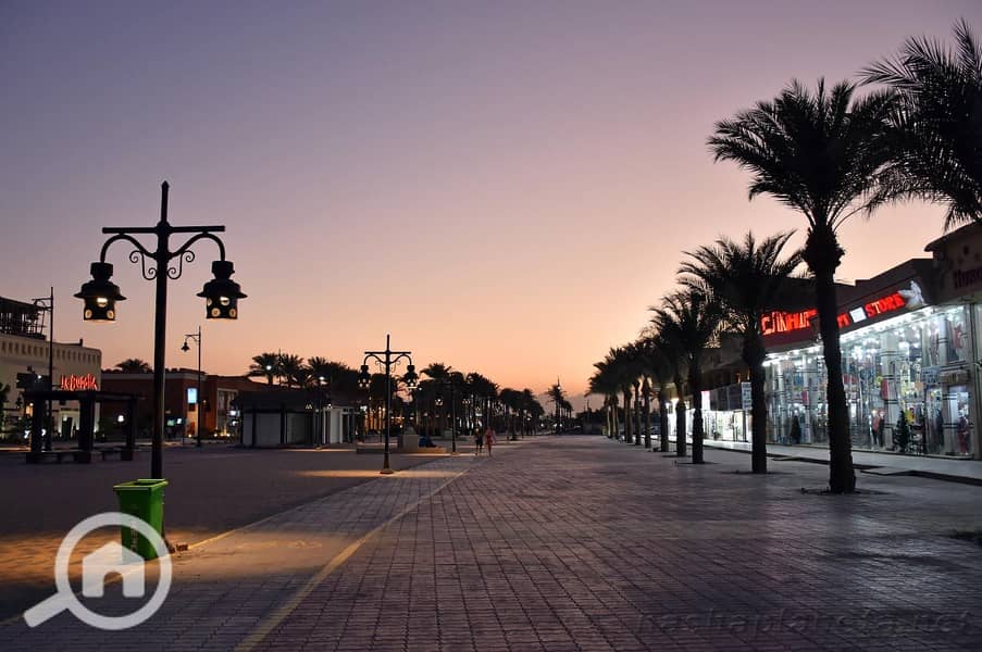 3 youssef-affifi-road2. jpg