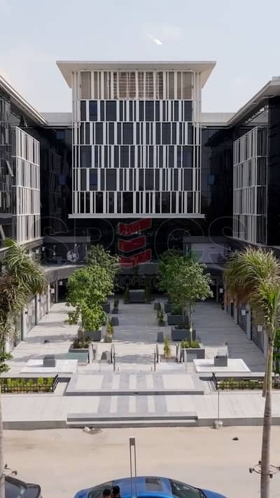 مکتب  للايجار في القاهرة الجديدة، القاهرة - HQ Giraffes Video Edit 20251007 (1)_frame_0_00_0f-Photoroom. png