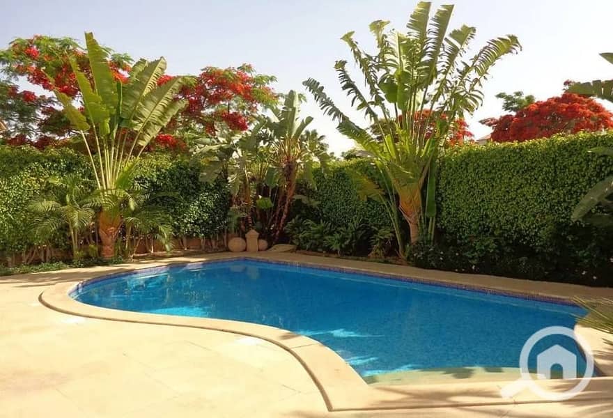 2 540044216_24528304876856655_5995468930089631713_n. jpg