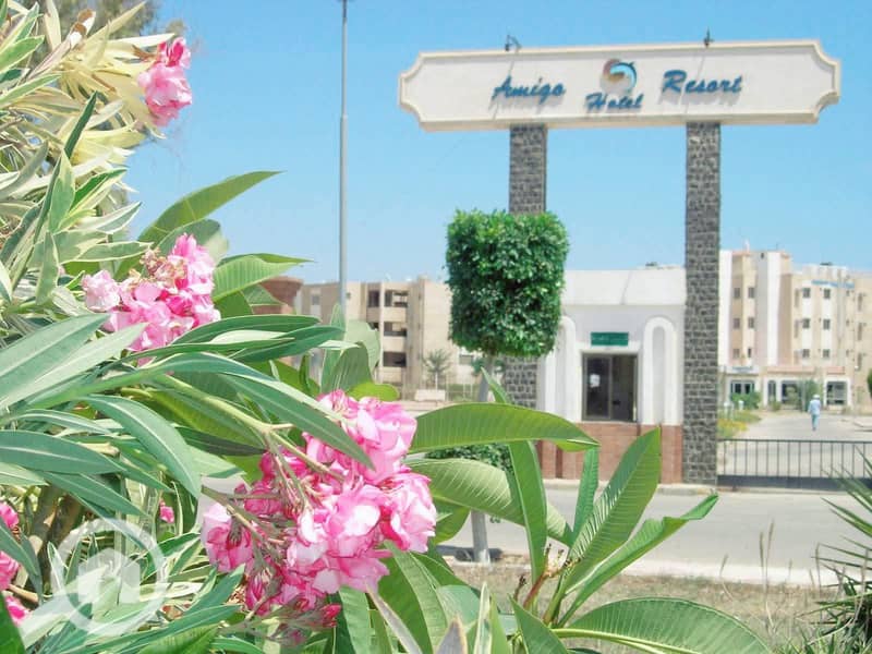 4 4237597c-1d22-4daa-9561-0df53687d0cb. jpg