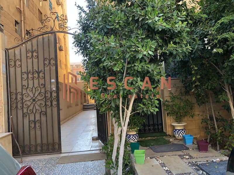 3 WhatsApp Image 2026-01-20 at 1.23. 07 PM (2). jpeg