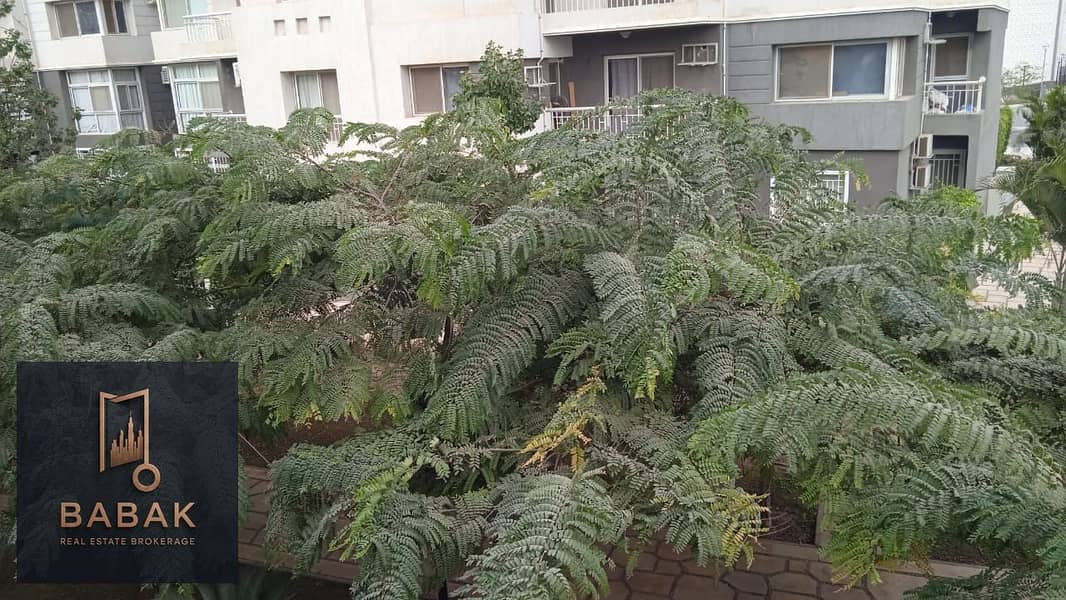 8 IMG-20260108-WA0067. jpg