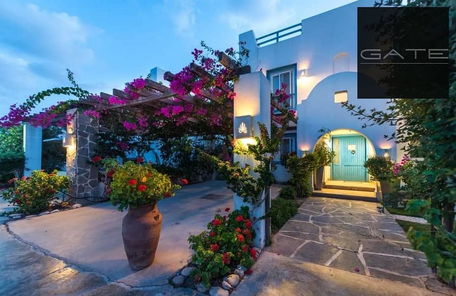 4 419cfcb5-3991-4d5e-9209-eb437cef7f21. jpeg