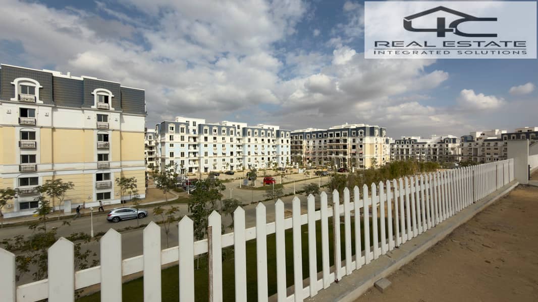 11 2025_12_16_12_58_IMG_1083. JPG