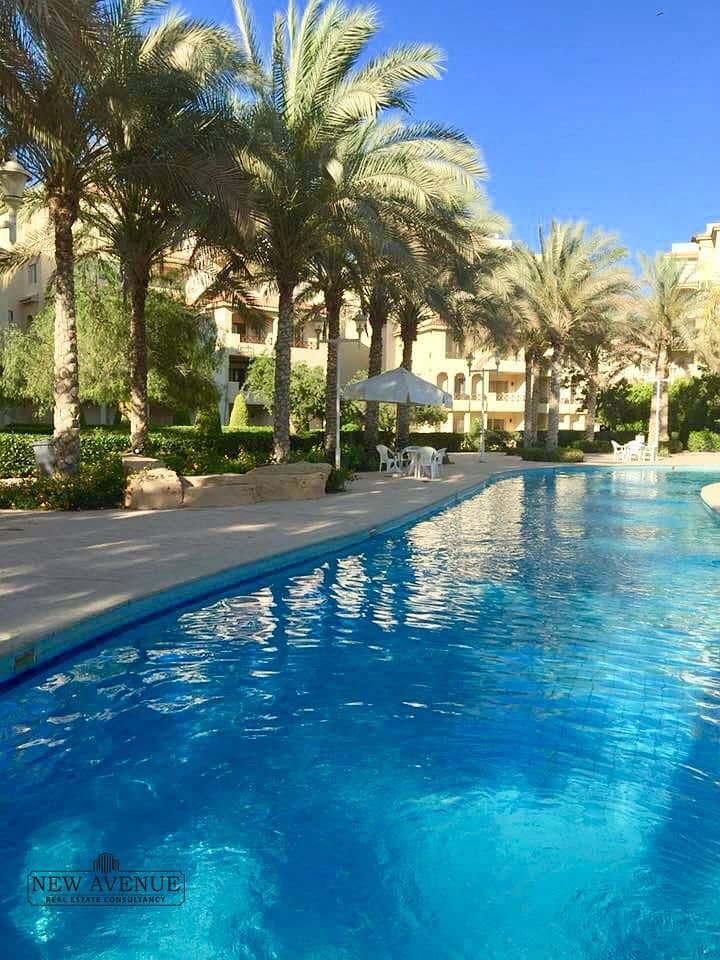 3 WhatsApp Image 2026-01-20 at 9.46. 29 AM (1). jpeg