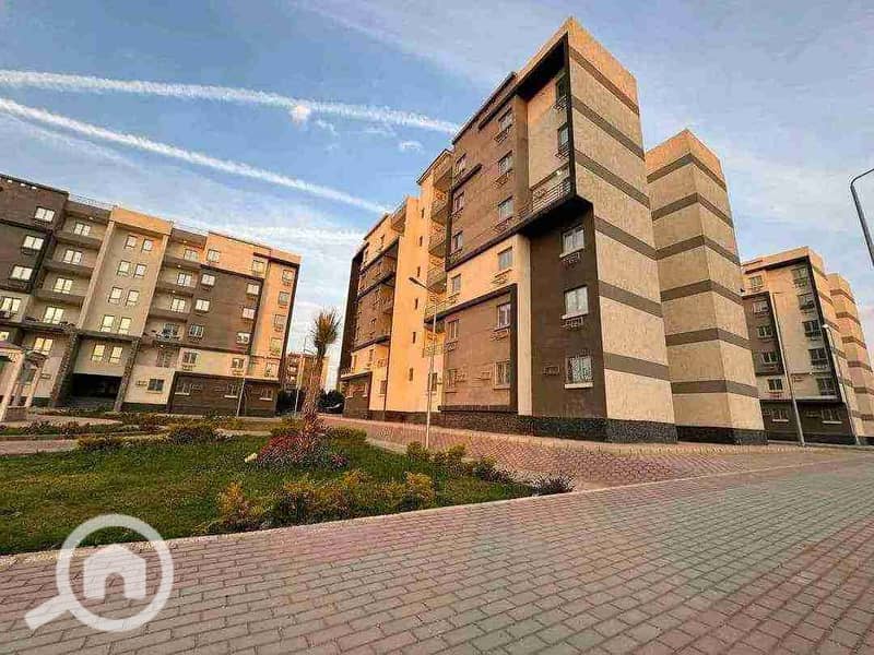 1000221317. jpg 1000221317. jpg