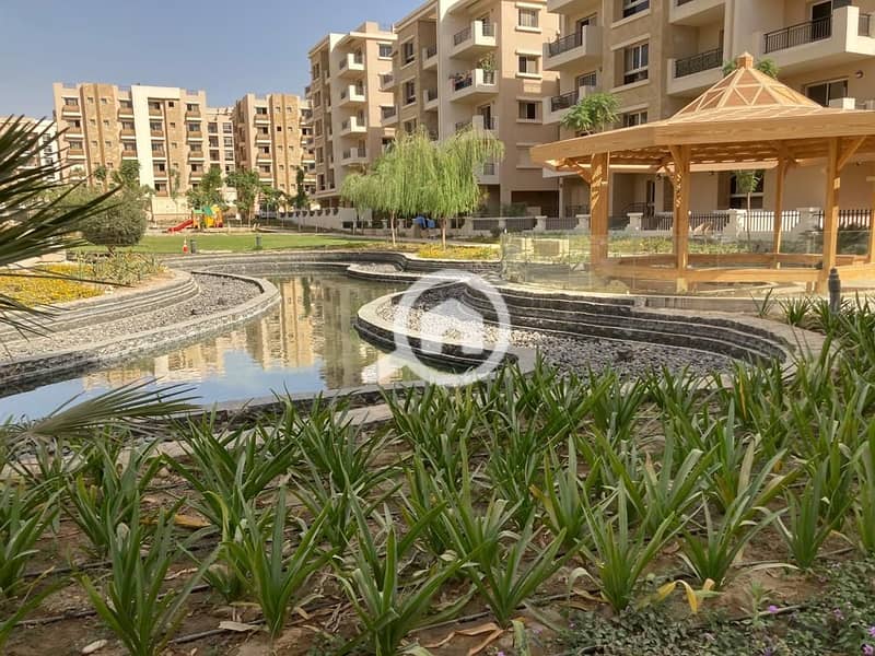 6 bf9cee59-efaa-45d9-b951-6c432d6e55f1. jpg