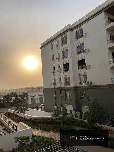 9 2024-12-25 (1). jpg