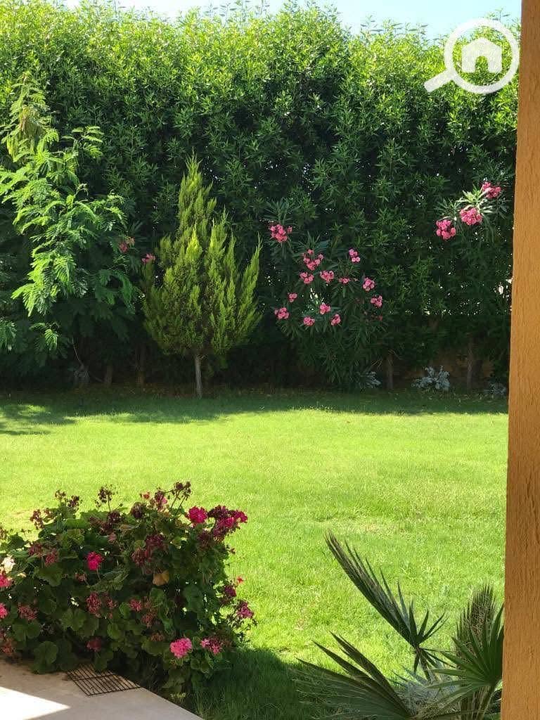 8 a8cc9d7c-64c9-45b2-a1e6-8f2ce9a8f813. jpeg