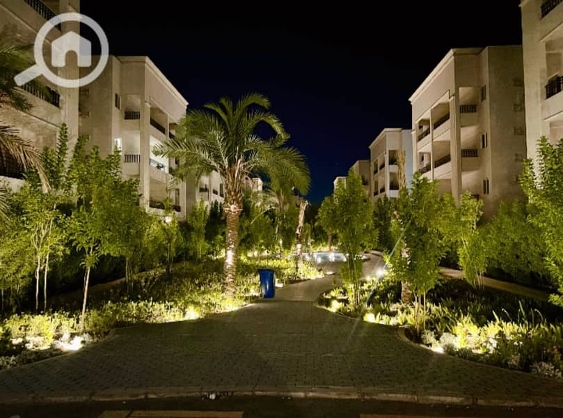 8 59474a37-28db-41ed-86fd-efd3639204d4. jpg