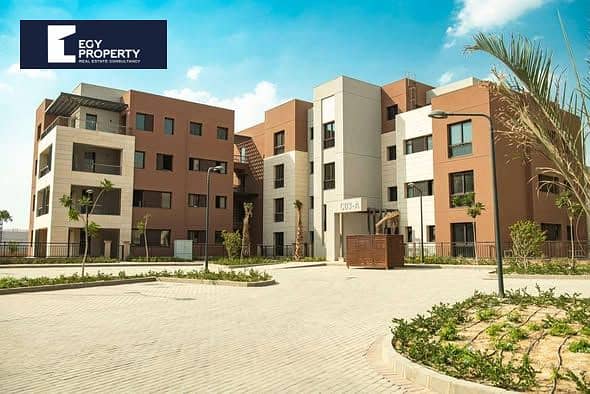 8 600262273_122261989646061717_7837253284649993010_n. jpg