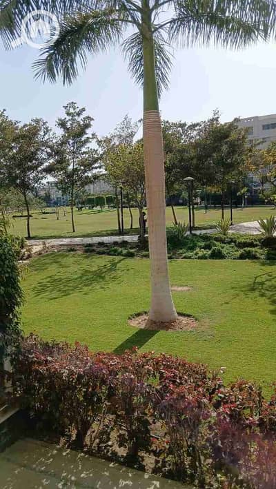 3 Bedroom Apartment for Rent in Madinaty, Cairo - 1000327038. jpg