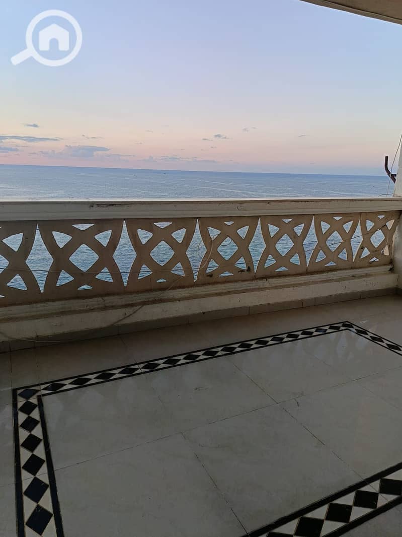 13 WhatsApp Image 2026-01-19 at 16.35. 09. jpeg