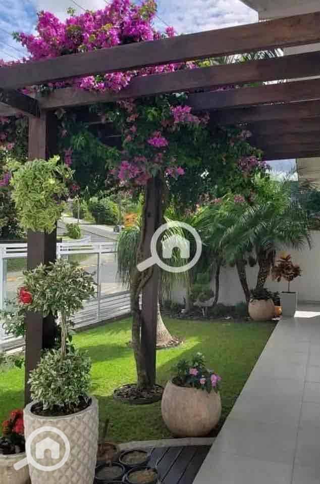 2 45e06e3f-8ca6-4215-a4d7-bf6b8001dc06. jpg