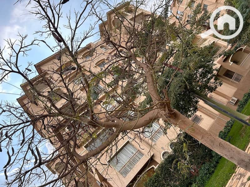 3 WhatsApp Image 2024-09-26 at 1.55. 58 PM - Copy. jpeg