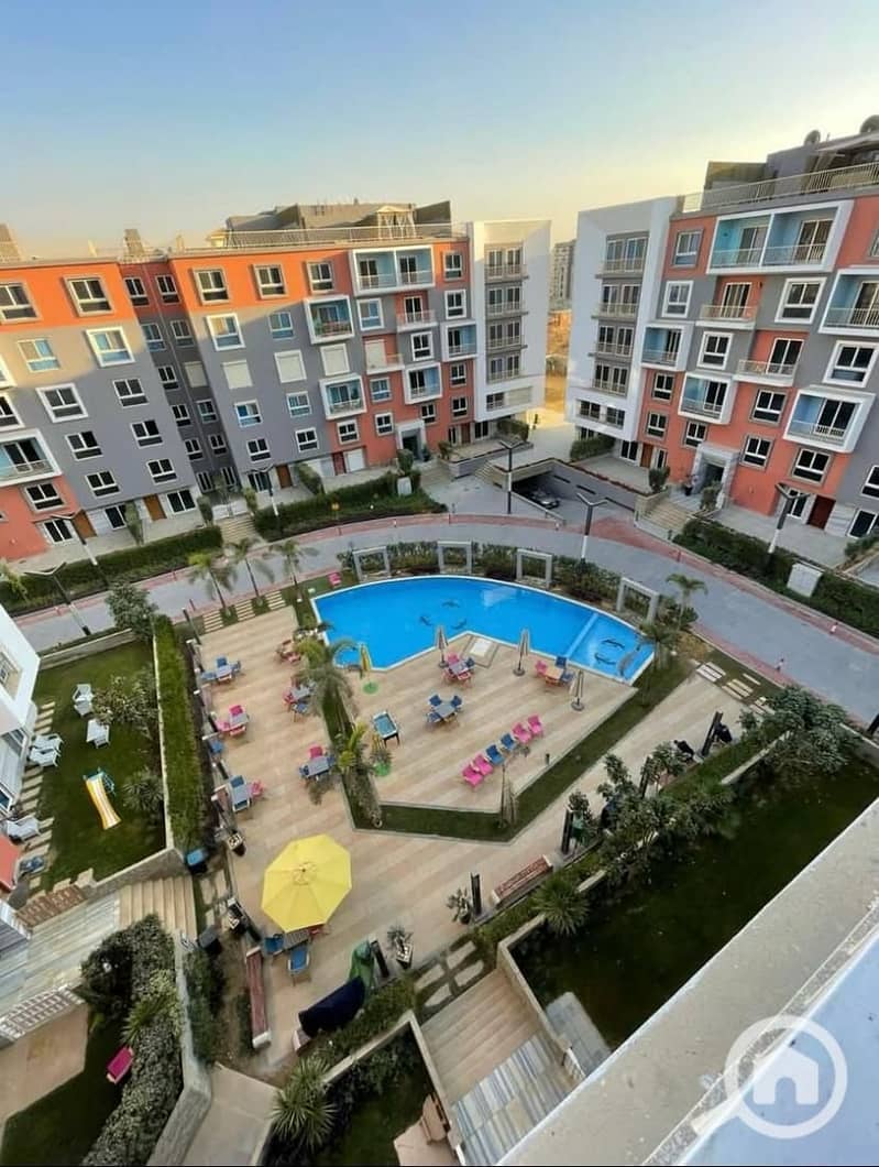 12 377bfa42-ec79-40c4-a932-db546b0b743a. jpg