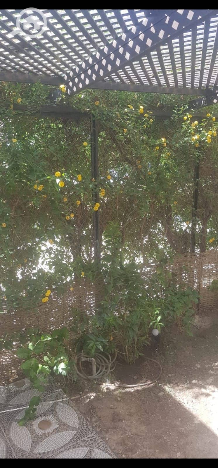 8 WhatsApp Image 2026-01-18 at 8.01. 04 PM (1). jpeg