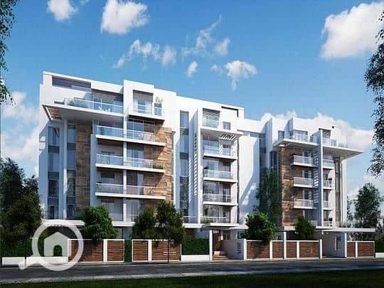 4 805ac27e-c309-49ae-88d0-3fb581000017. jpg