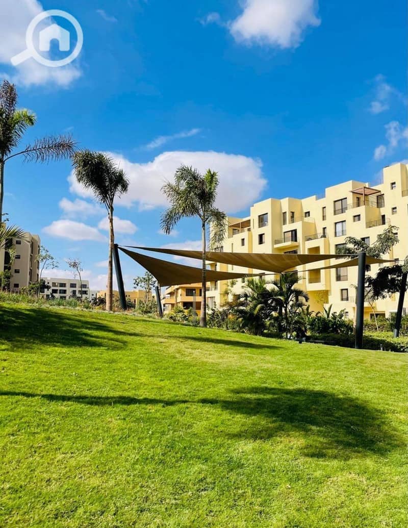 8 616577538_122113144053155713_6695954706470228251_n. jpg