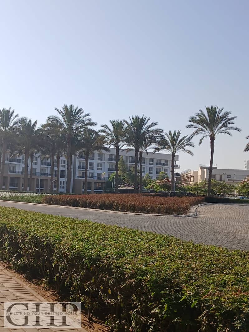 9 ddc84884-e7b5-4b51-95c0-2c4622f2923b. jpg