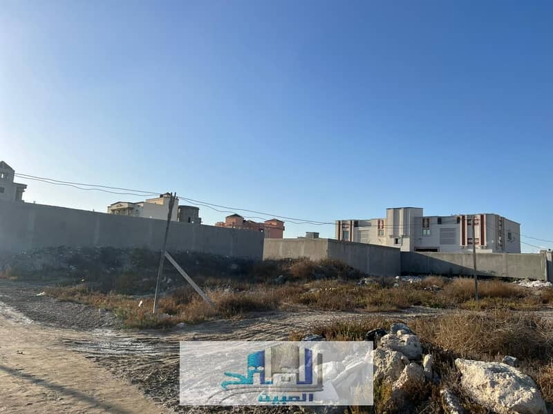 3 WhatsApp Image 2026-01-19 at 12.16. 14 PM (4). jpeg