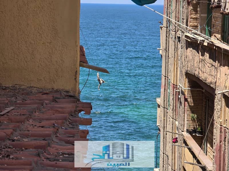 4 WhatsApp Image 2026-01-20 at 3.10. 25 PM. jpeg