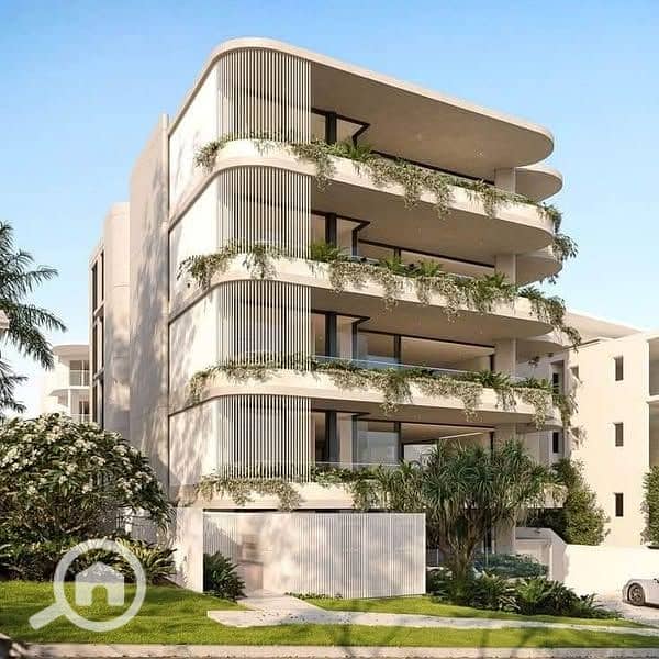 13 485637918_582337221532681_747460437101288314_n. jpg