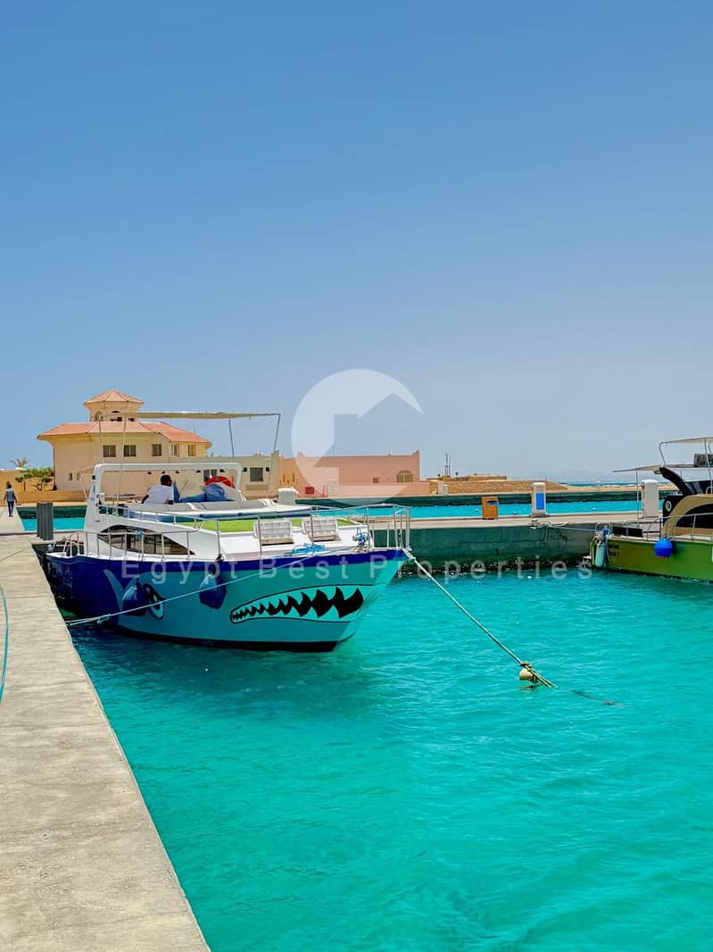 5 WhatsApp Image 2026-01-20 at 3.05. 20 PM. jpeg