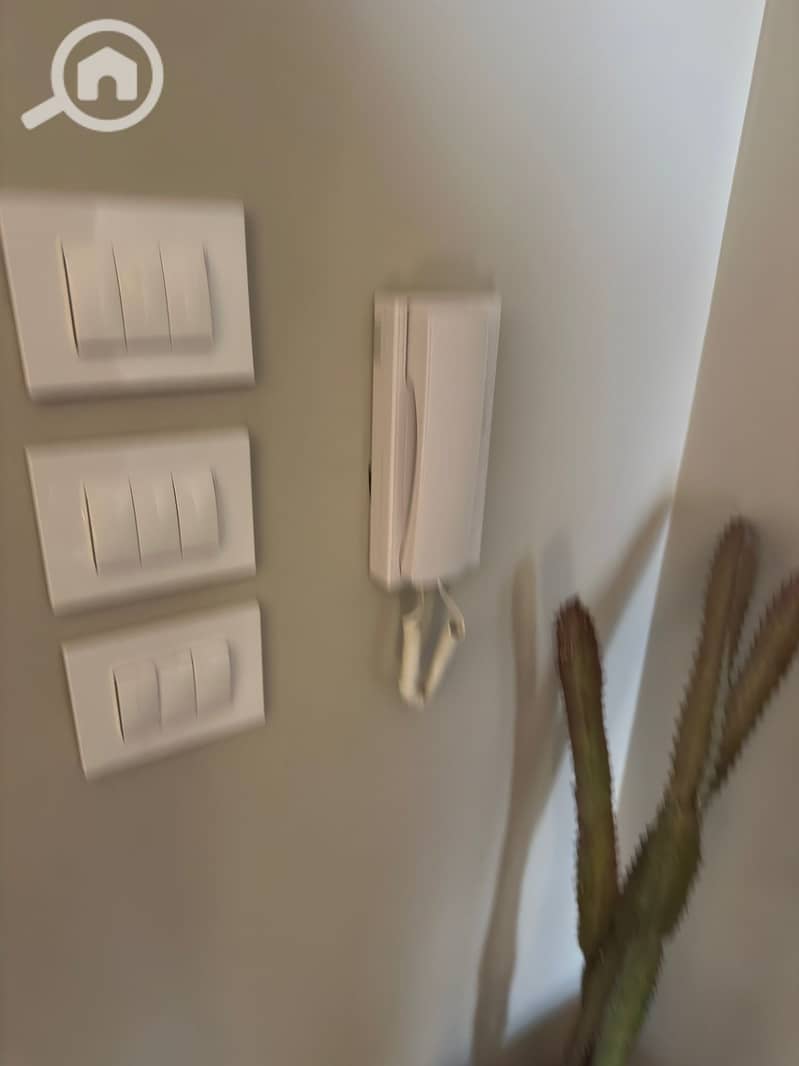 21 1fee60a1-18ed-4402-9b6c-313b53d91e04. jpeg