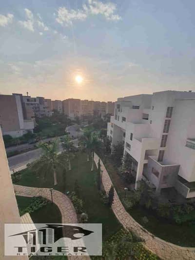 3 Bedroom Apartment for Rent in Madinaty, Cairo - 1002990205. jpg