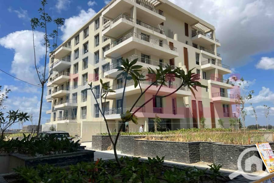 11 WhatsApp Image 2025-08-24 at 13.39. 11_616dfc4c. jpg