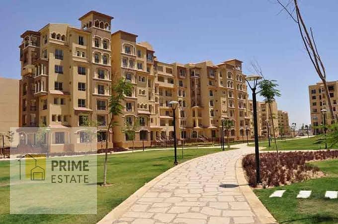 2 WhatsApp Image 2026-01-20 at 6.00. 26 AM. jpeg