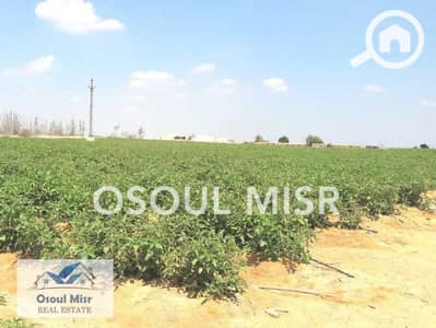 زراعي  للبيع في الشيخ زايد، الجيزة - WhatsApp Image 2023-06-11 at 11.15. 47 AM (5) - Copy. jpeg