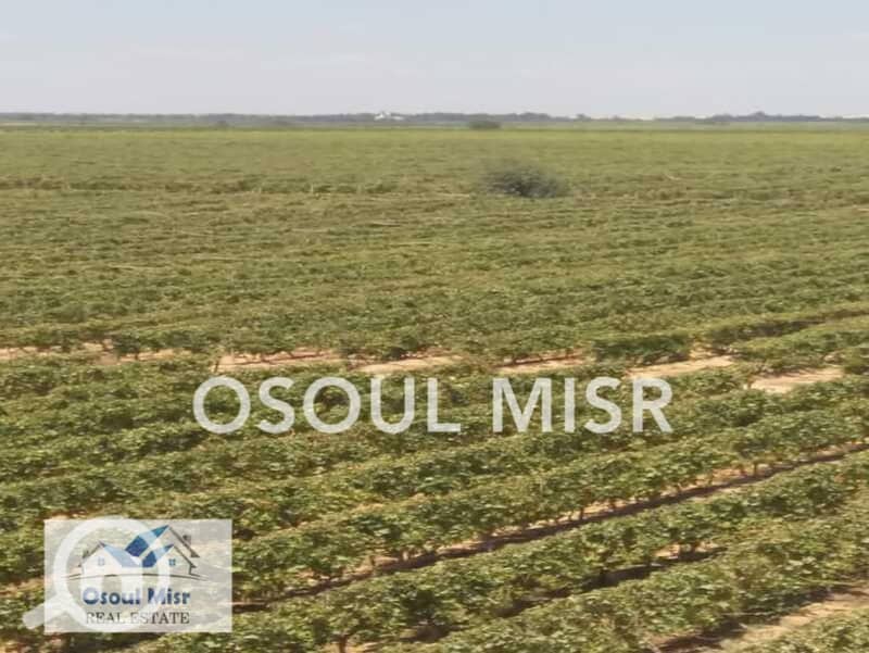 2 WhatsApp Image 2023-06-11 at 10.55. 22 AM. jpeg