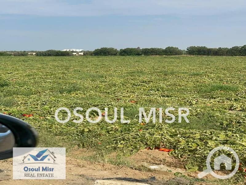 3 WhatsApp Image 2023-06-11 at 10.55. 24 AM (4). jpeg