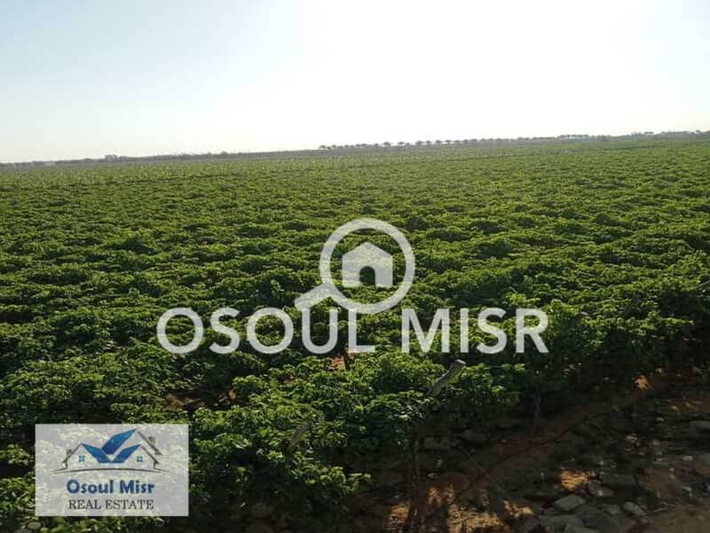 4 WhatsApp Image 2023-06-11 at 10.55. 24 AM (6). jpeg