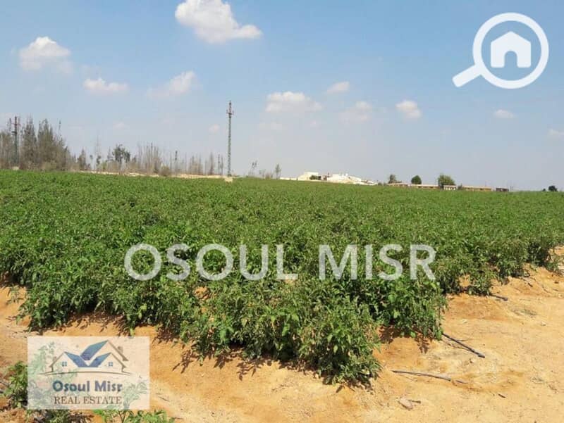 5 WhatsApp Image 2023-06-11 at 11.15. 47 AM (2) - Copy. jpeg