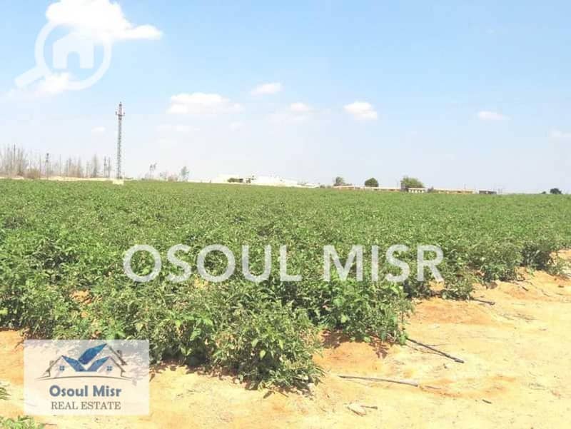 6 WhatsApp Image 2023-06-11 at 11.15. 47 AM (3). jpeg