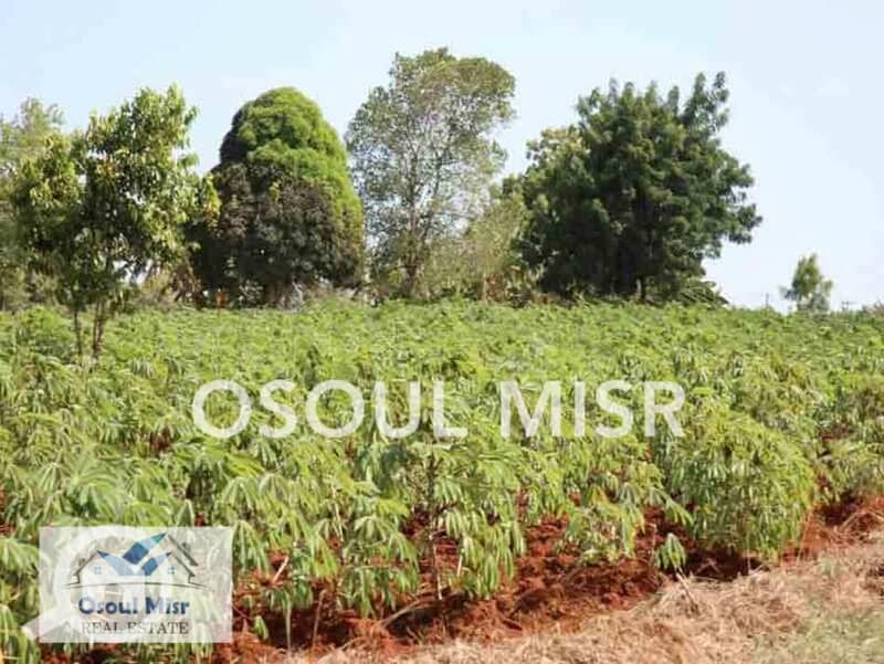 7 WhatsApp Image 2023-06-11 at 11.15. 47 AM (4). jpeg