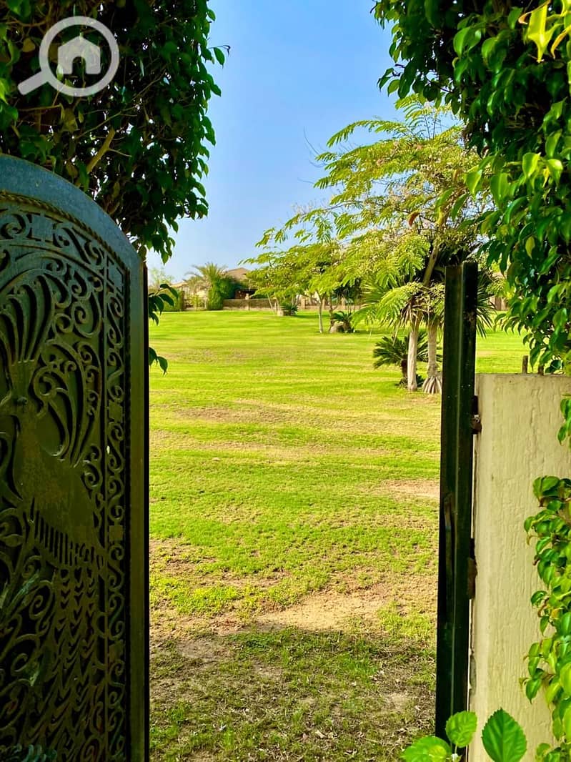 6 WhatsApp Image 2026-01-20 at 51.37 PM. jpeg